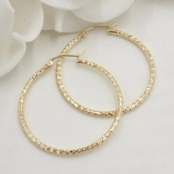 Delicate Gold Plated Hoops Earrings