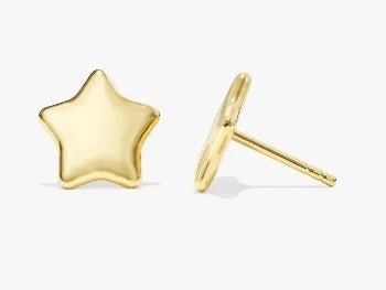 Star Shape Delicate Earrings