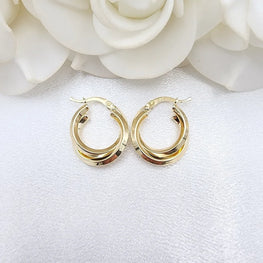 Double Hoop Elegant Earrings